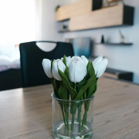 Castelvecchio Center アパート