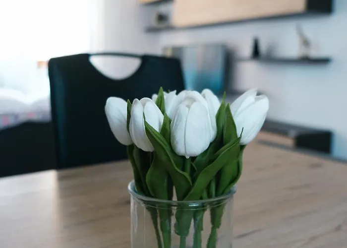 Castelvecchio Center شقة