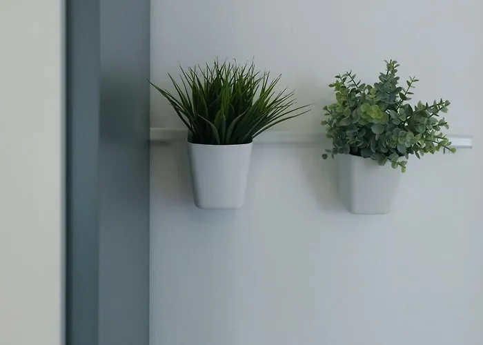 Castelvecchio Center شقة فيرونا